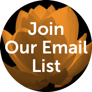 Join the Laurel Yoga Email List