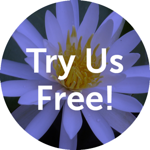 Try Laurel Yoga, Free!